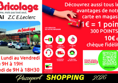 Mr.Bricolage